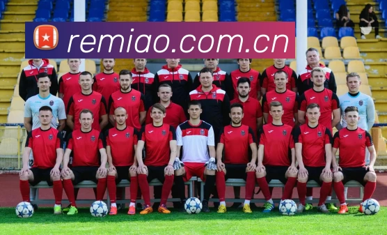 BETWAY·必威(西汉姆联)官方网站 - WestHamUnited发展历程